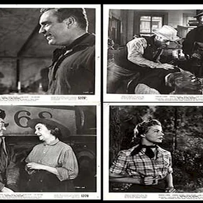Photo du film : Les rivaux du rail