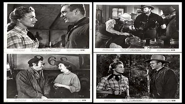 Photo du film : Les rivaux du rail