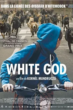 Affiche du film White God