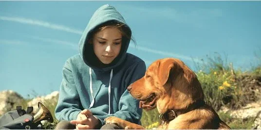 Photo 2 du film : White God