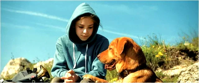 Photo 2 du film : White God
