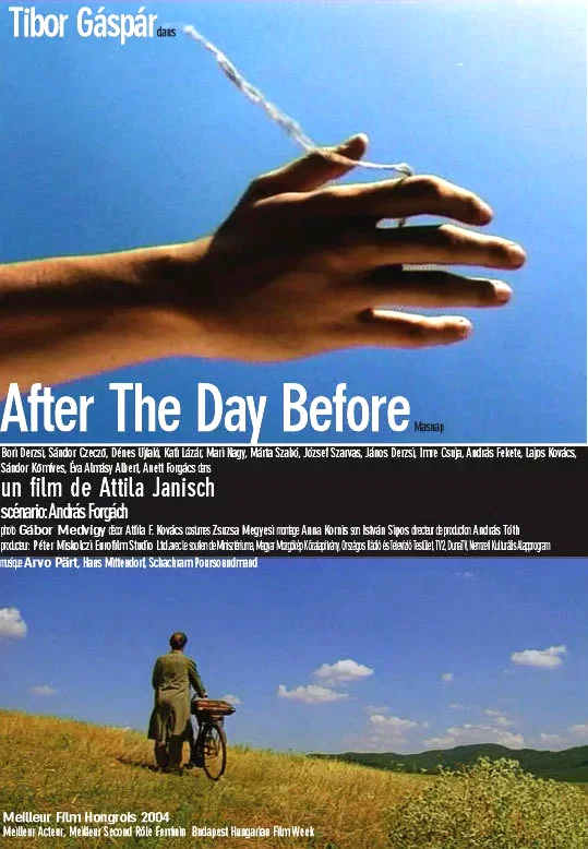 Affiche du film : After day the before