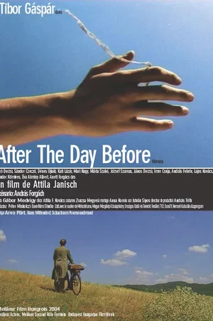 Affiche du film : After day the before