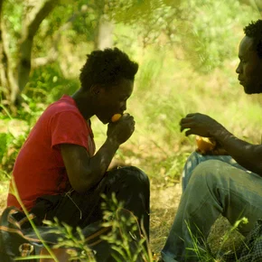 Photo du film : Hope