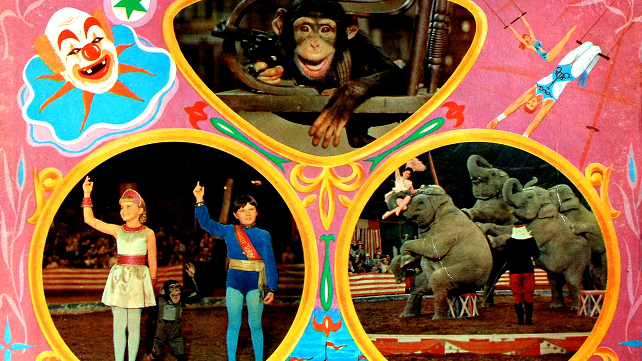 Photo 2 du film : Le clown et l'enfant