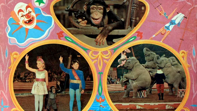 Photo 2 du film : Le clown et l'enfant