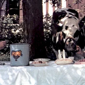 Photo du film : Tendrement vache
