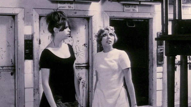 Photo 12 du film : Les petites marguerites