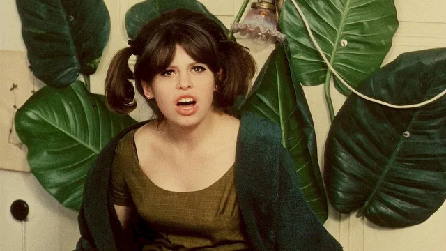 Photo 15 du film : Les petites marguerites
