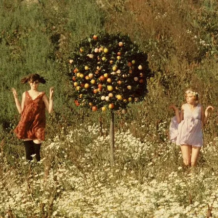 Miniature photo du film : Les petites marguerites