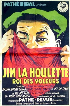 Affiche du film Jim la houlette roi des voleurs
