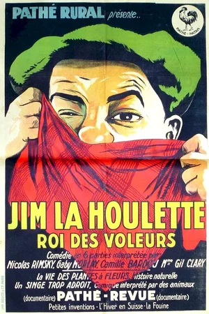 Affiche du film : Jim la houlette roi des voleurs