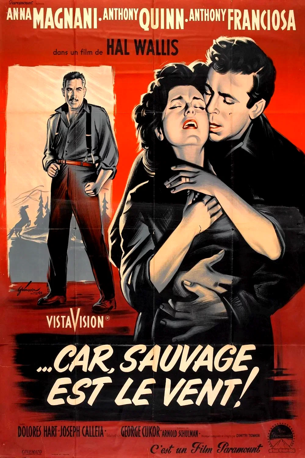 Affiche du film : Car sauvage est le vent