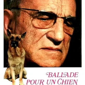 Photo du film : Ballade pour un chien