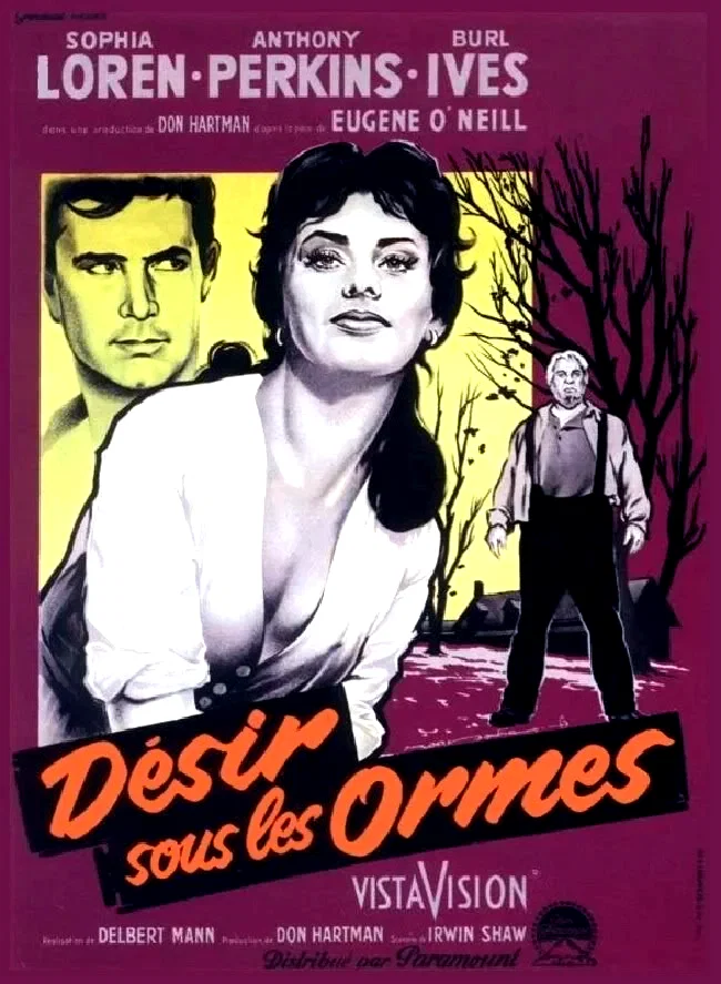 Affiche du film : Le desir sous les ormes