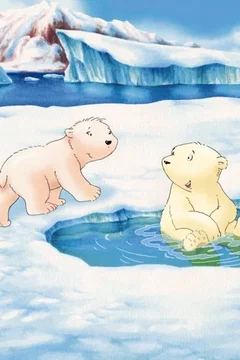 Affiche du film L'ours Plume