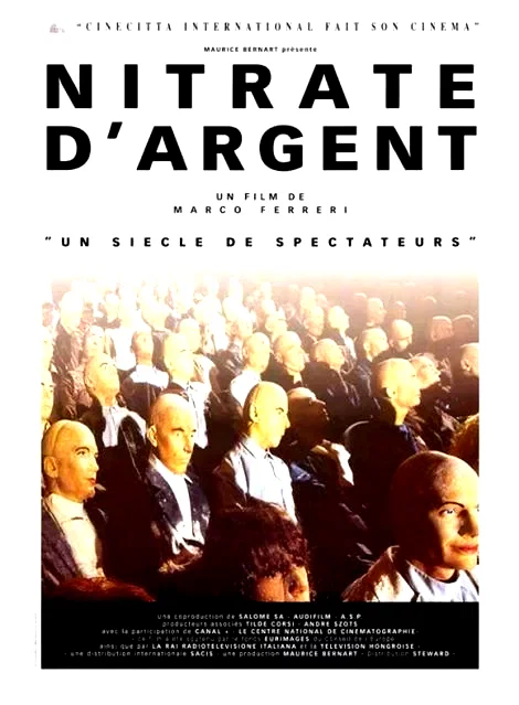 Affiche du film : Nitrate d'argent