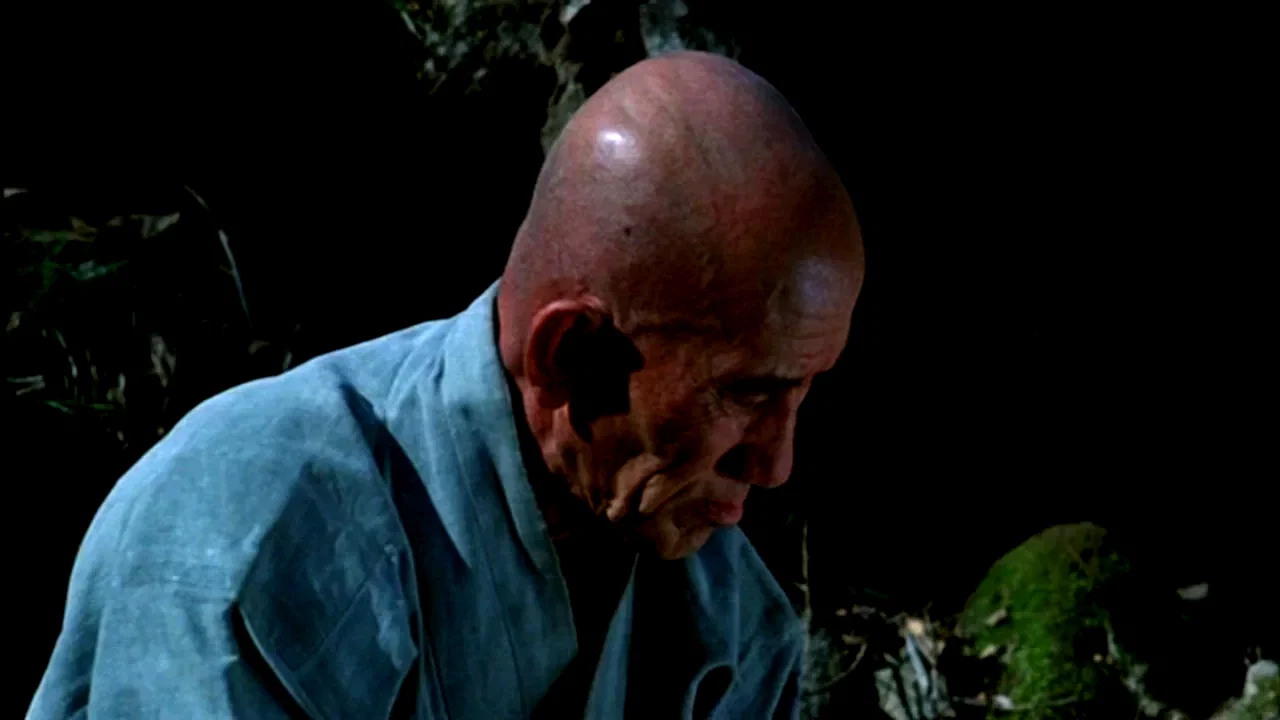Photo du film : Pourquoi bodhi dharma est il parti ve