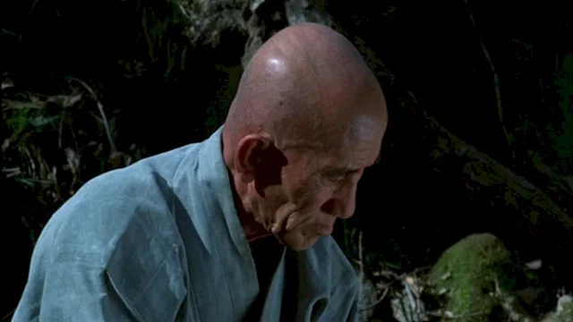 Photo 2 du film : Pourquoi bodhi dharma est il parti ve
