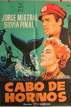 Affiche du film Cap horn