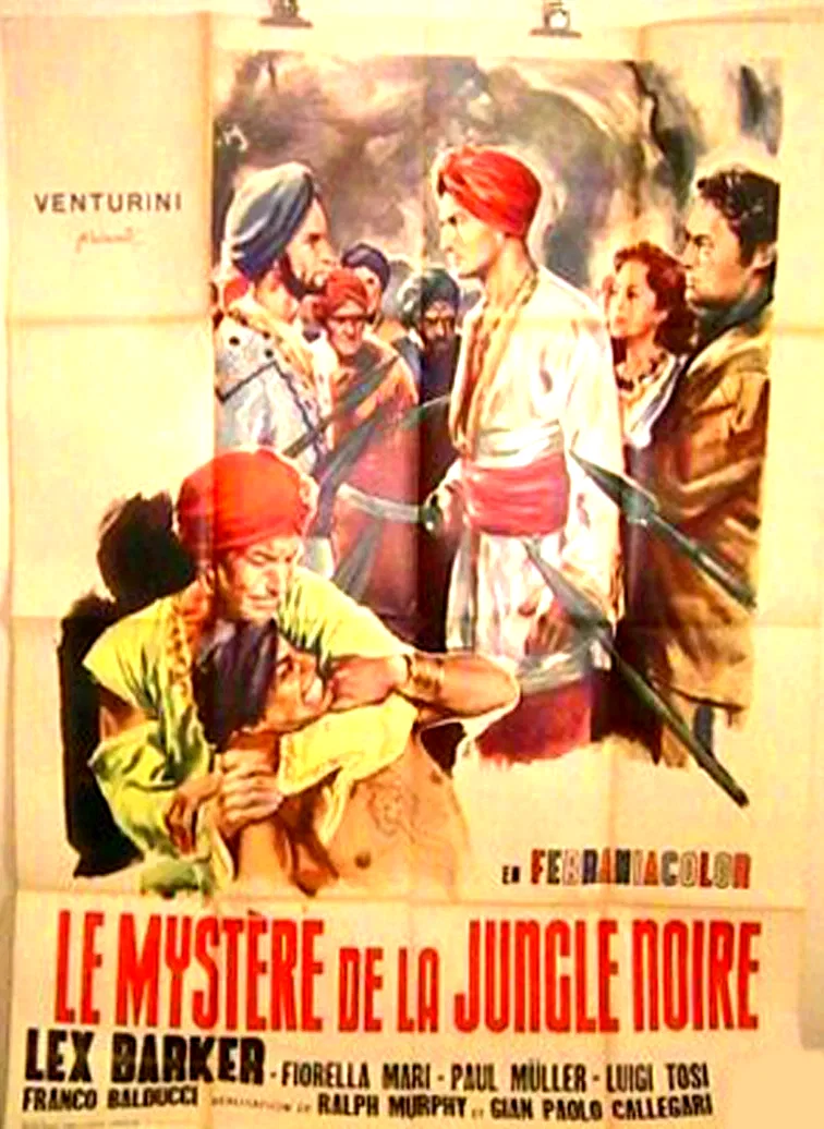 Affiche du film : Le mystere de la jungle noire