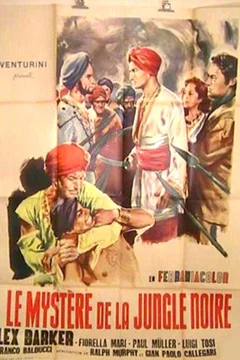 Affiche du film Le mystere de la jungle noire