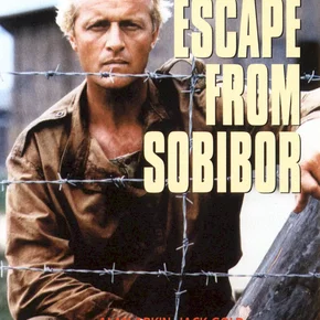 Photo du film : Le rescape
