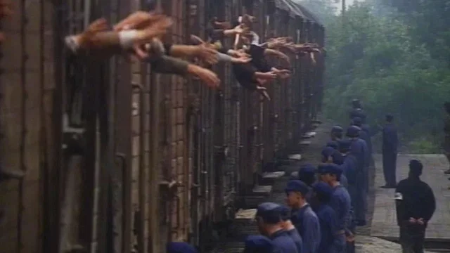 Photo 2 du film : Le rescape