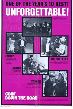 Affiche du film Goin'down the road