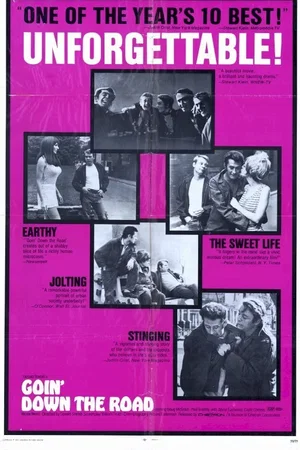 Affiche du film : Goin'down the road