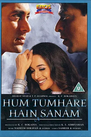 Affiche du film : Hum tumhare hai sanam