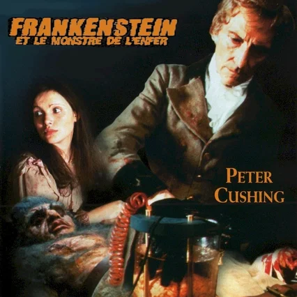 Miniature photo du film : Frankenstein et le monstre de l'enfe