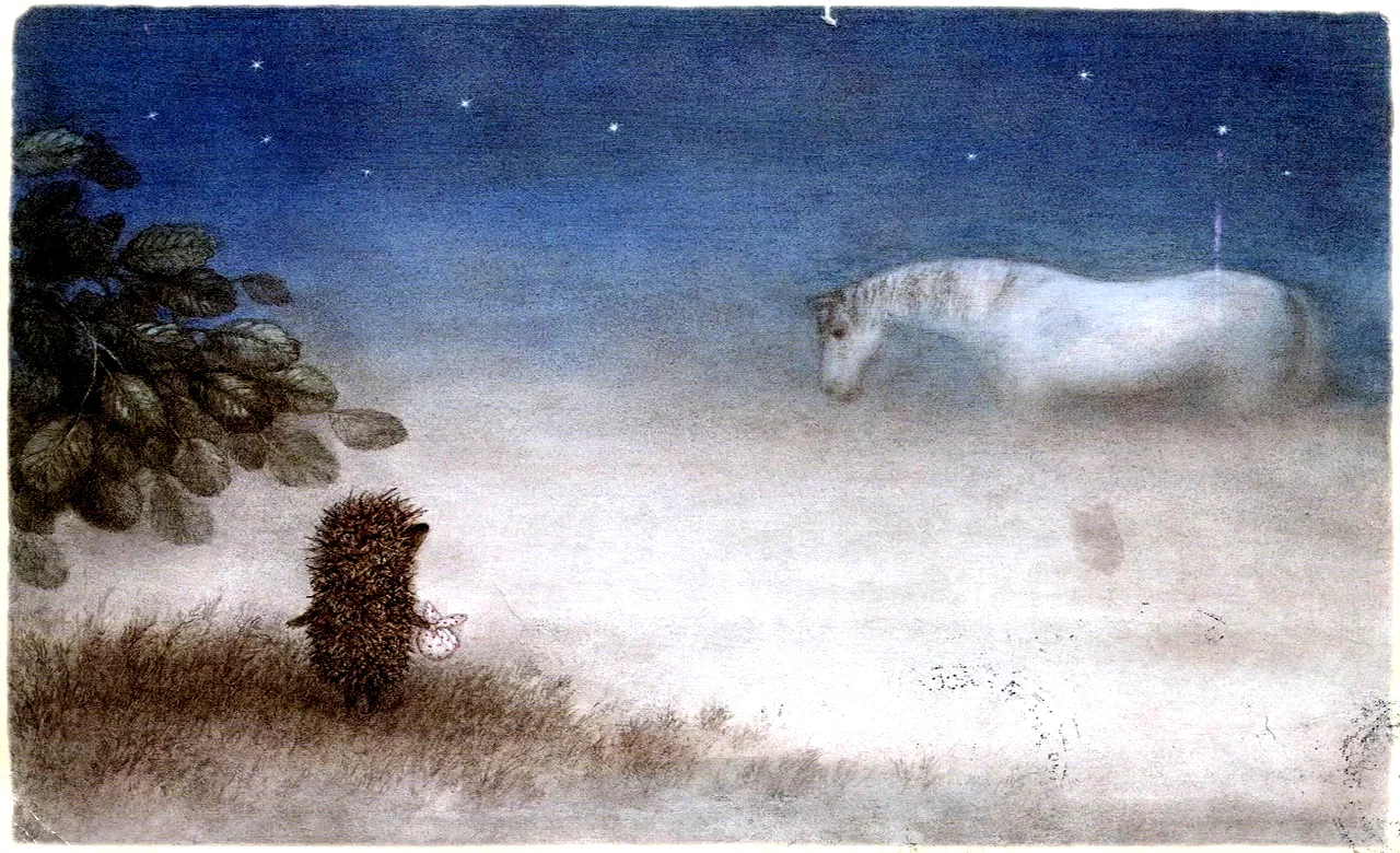 Affiche du film : L'hérisson dans le brouillard