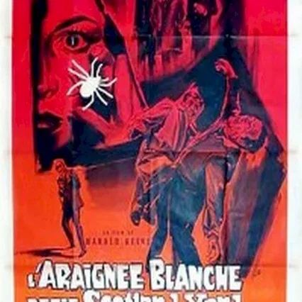 Miniature photo du film : L'araignee blanche defie scotland ya