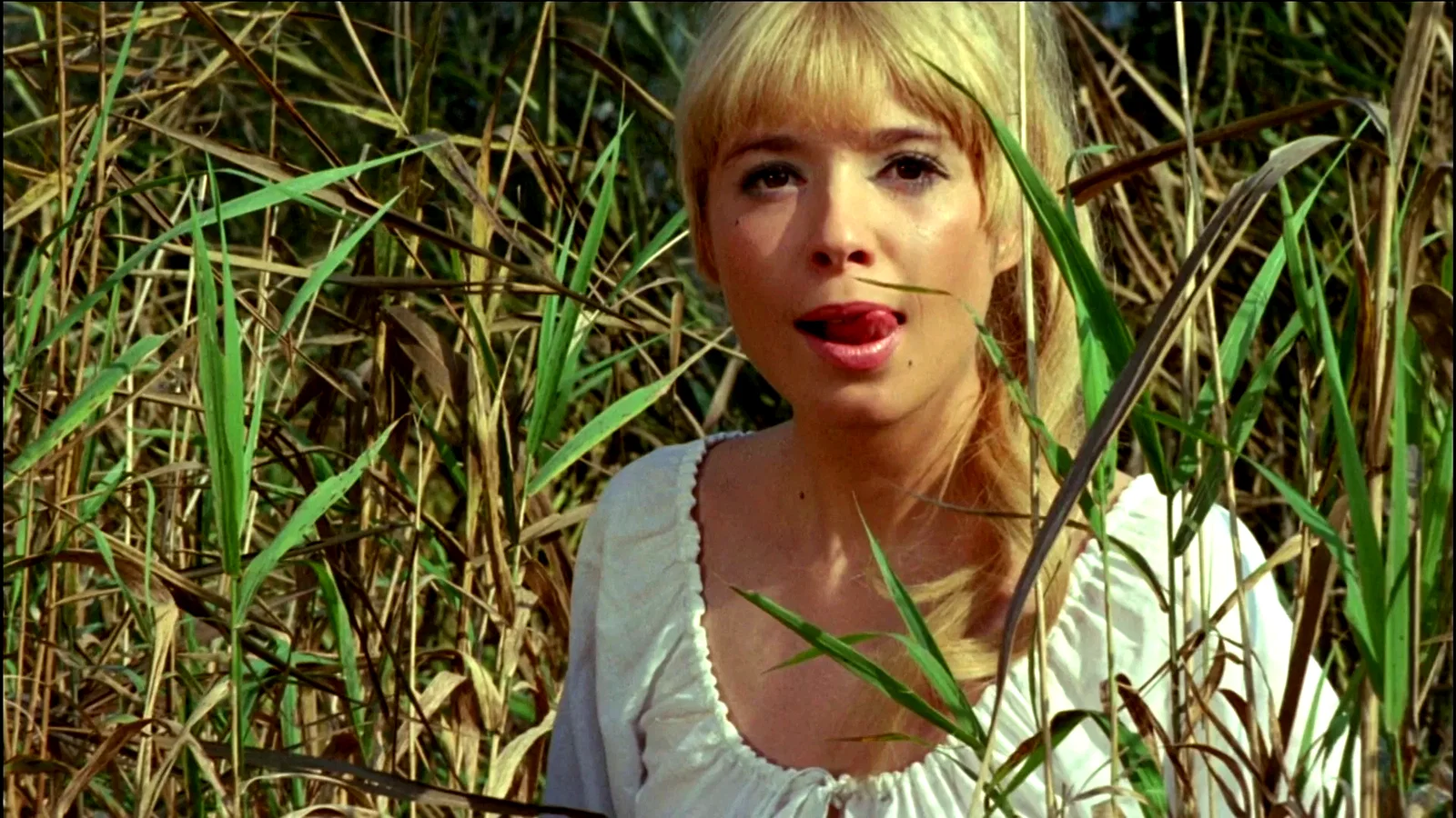 Photo du film : Les exploits amoureux des trois mousq