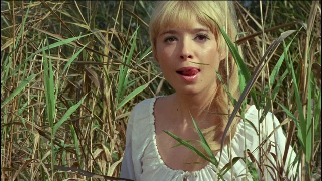 Photo 2 du film : Les exploits amoureux des trois mousq