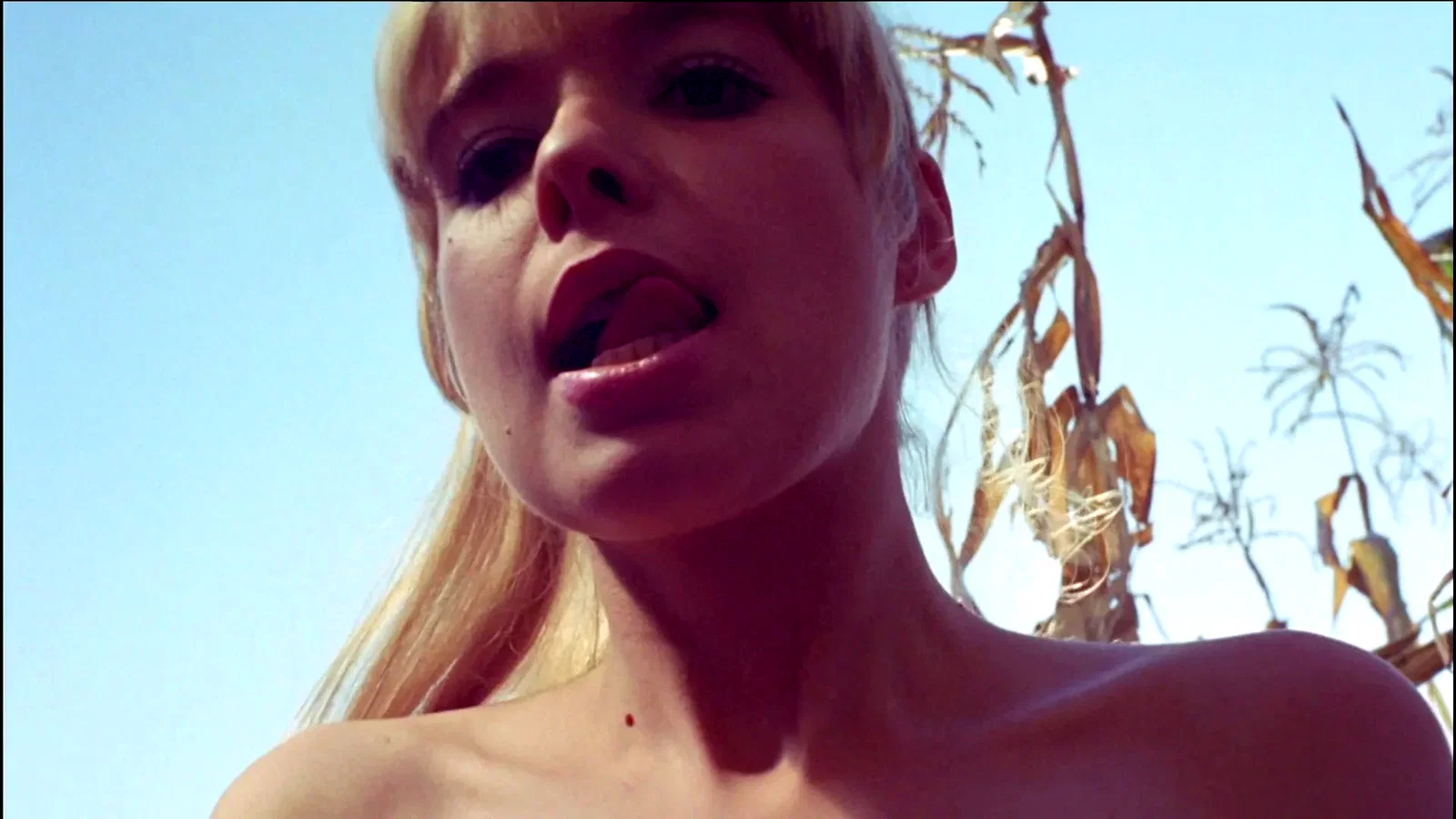 Photo du film : Les exploits amoureux des trois mousq