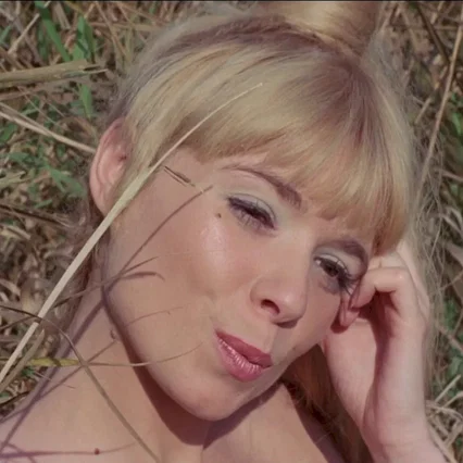 Miniature photo du film : Les exploits amoureux des trois mousq