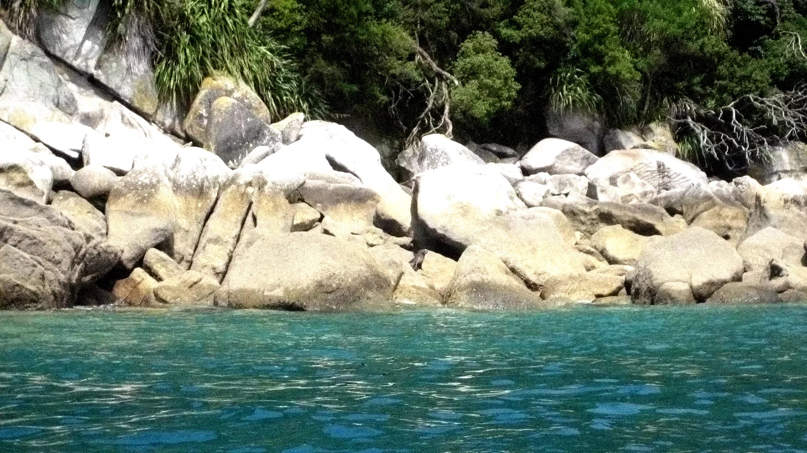 Photo 2 du film : De l'autre côté du paradis