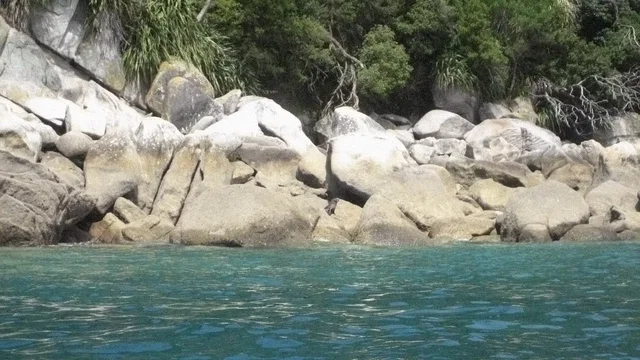 Photo 2 du film : De l'autre côté du paradis