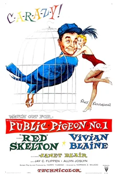 Affiche du film Un pigeon qui pige