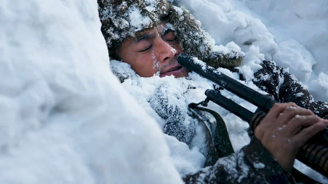 Affiche du film : La Bataille de la Montagne du Tigre
