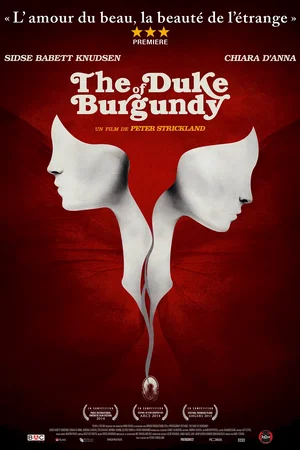 Affiche du film : The Duke of Burgundy
