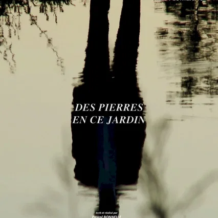 Miniature photo du film : Des Pierres en ce jardin