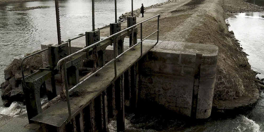 Photo du film : Des Pierres en ce jardin