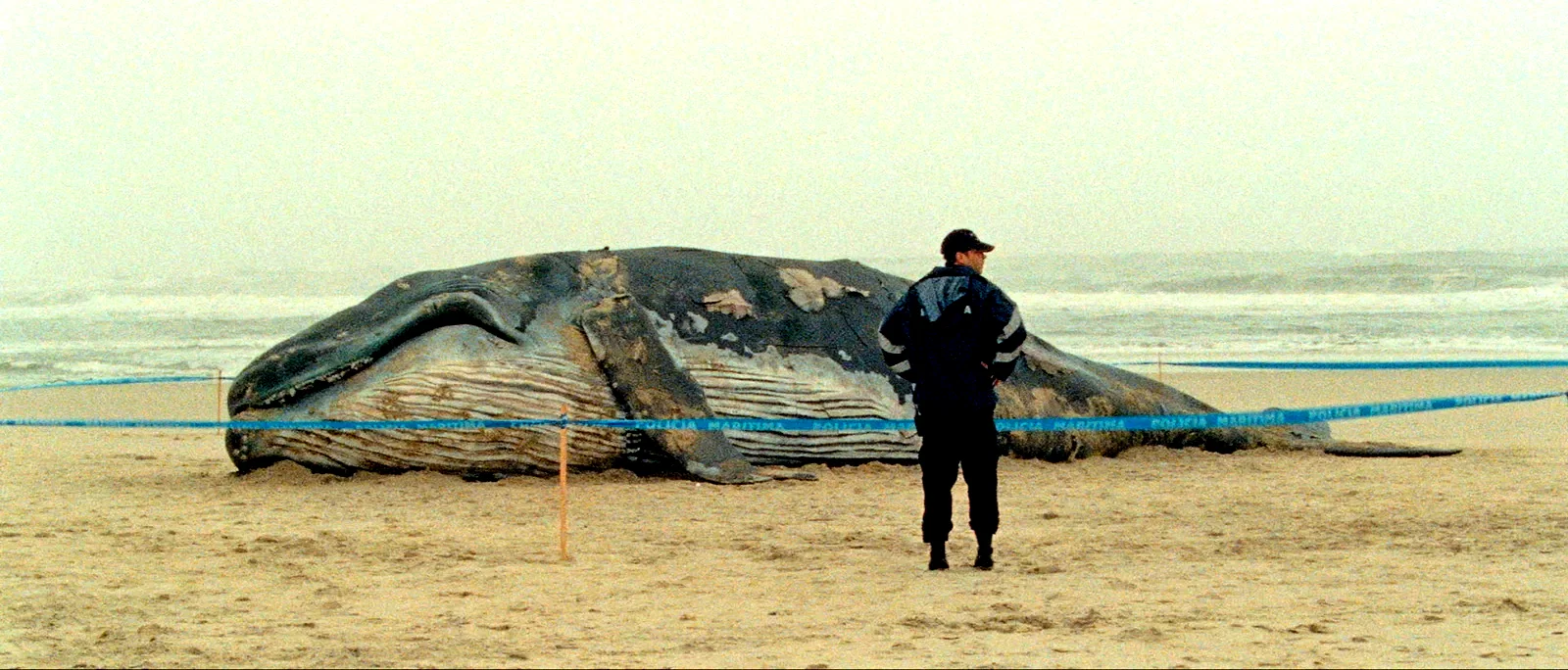 Photo 2 du film : Les mille et une nuits - L'Inquiet 
