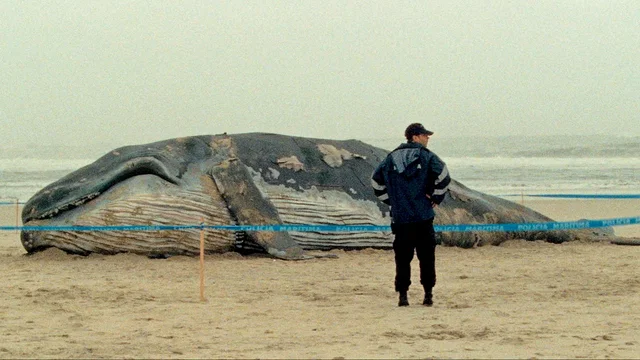 Affiche du film : Les mille et une nuits - L'Inquiet 