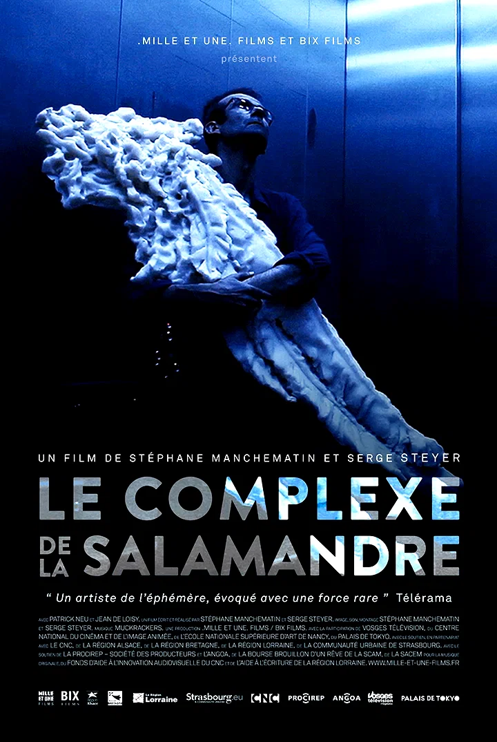 Affiche du film : Le complexe de la salamandre