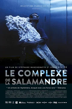 Affiche du film = Le complexe de la salamandre
