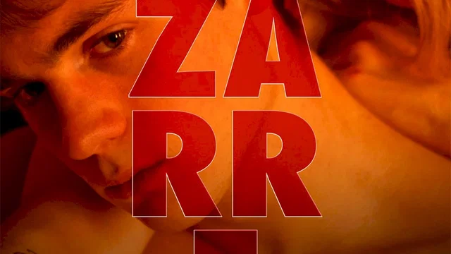 Affiche du film : Bizarre